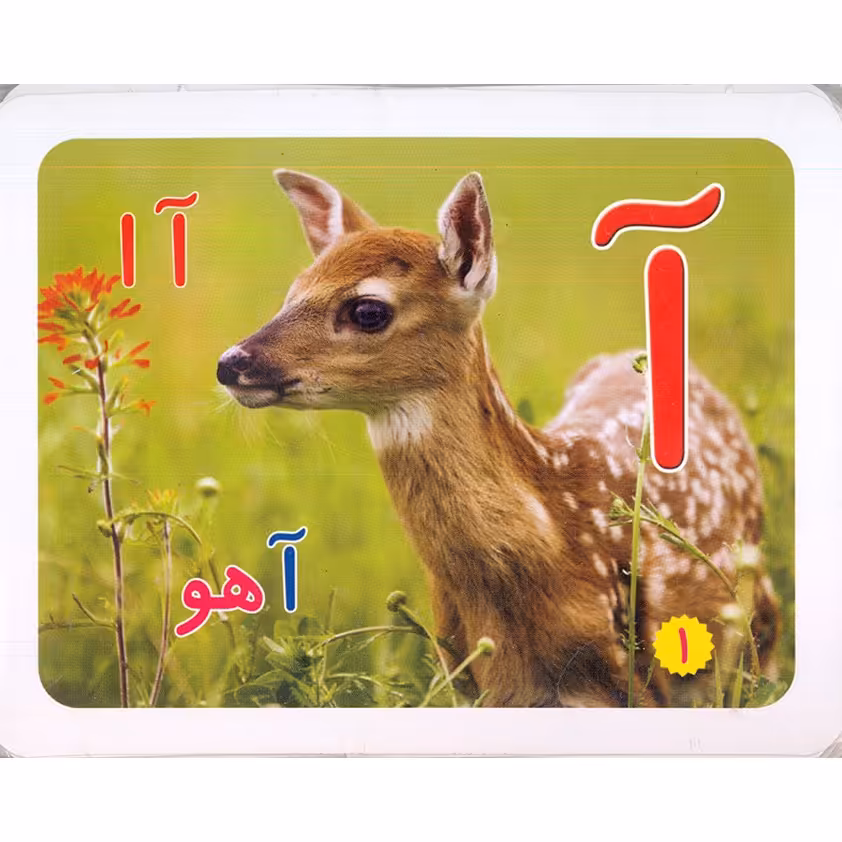 فلش کارت حروف الفبا همراه با مثال و تصاویر