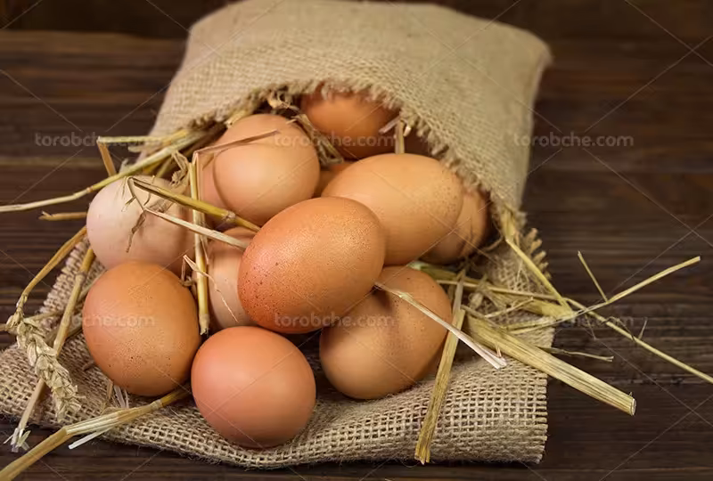 عکس تخم مرغ در گونی کنفی | گرافیک با طعم تربچه