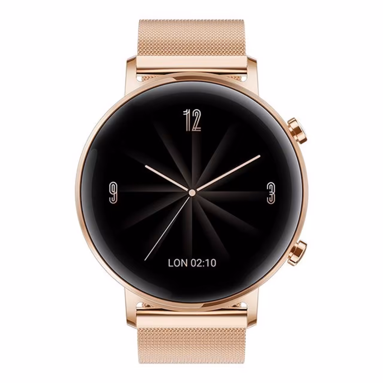 ساعت هوشمند هوآوی مدل WATCH GT 2 DAN-B19 42mm