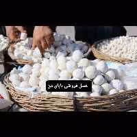 کشک محلی گوسفندی                                   