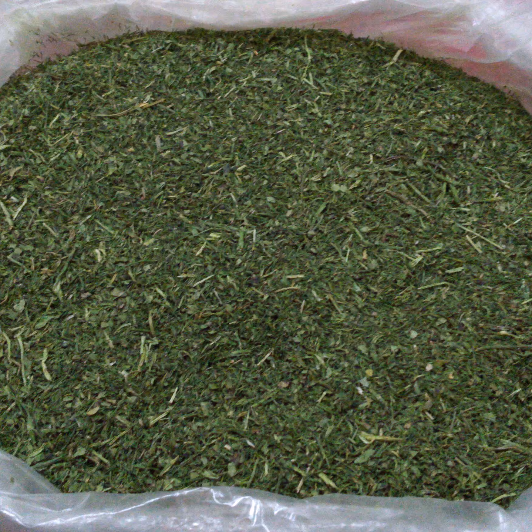 جعفری خشک امسالی کاملا خانگی تمیز بدون خاک بسیار معطر