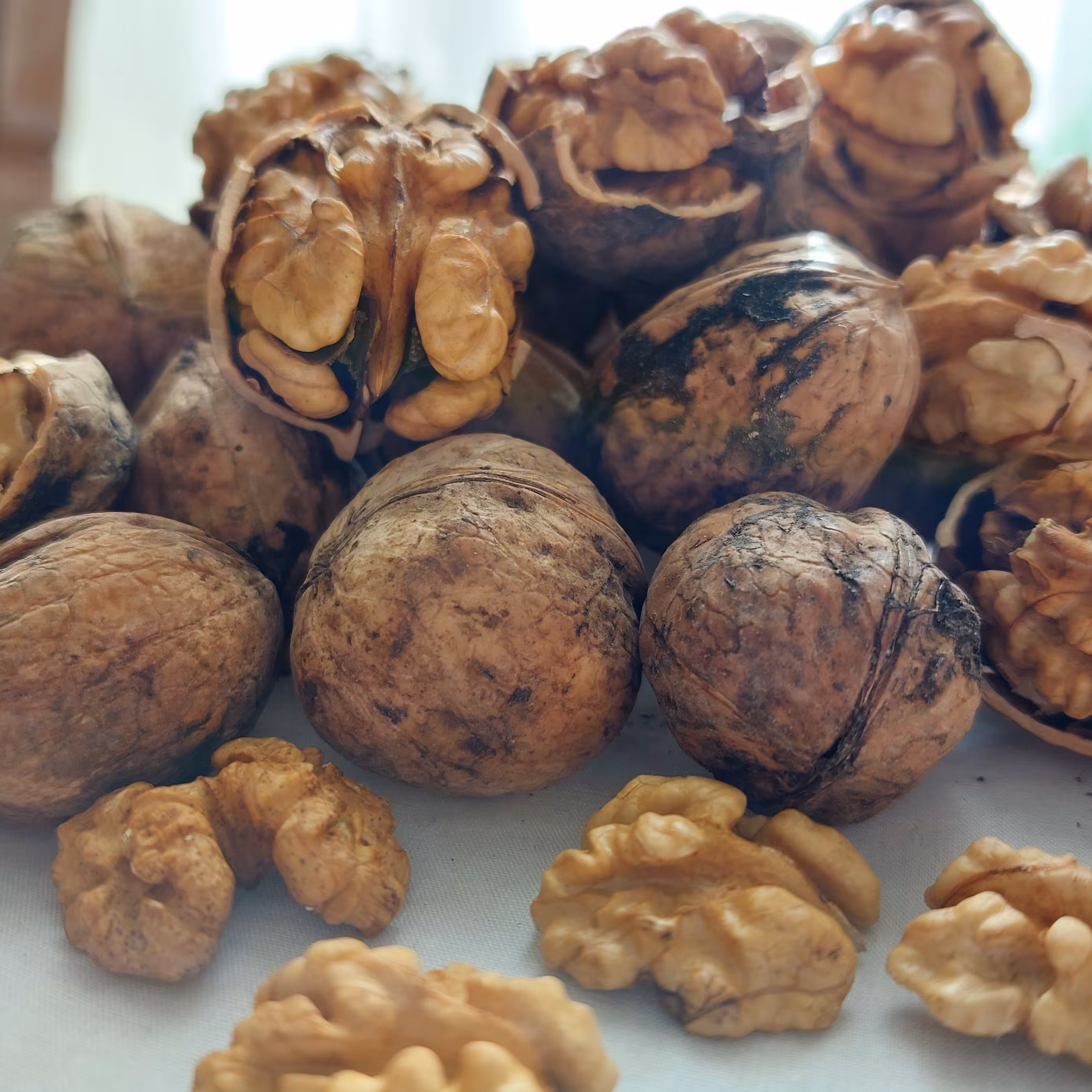 گردو  اصل تویسرکان وزن 1 کیلو گرم