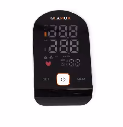 فشارسنج دیجیتالی سخنگو گلامور PG-800B19L