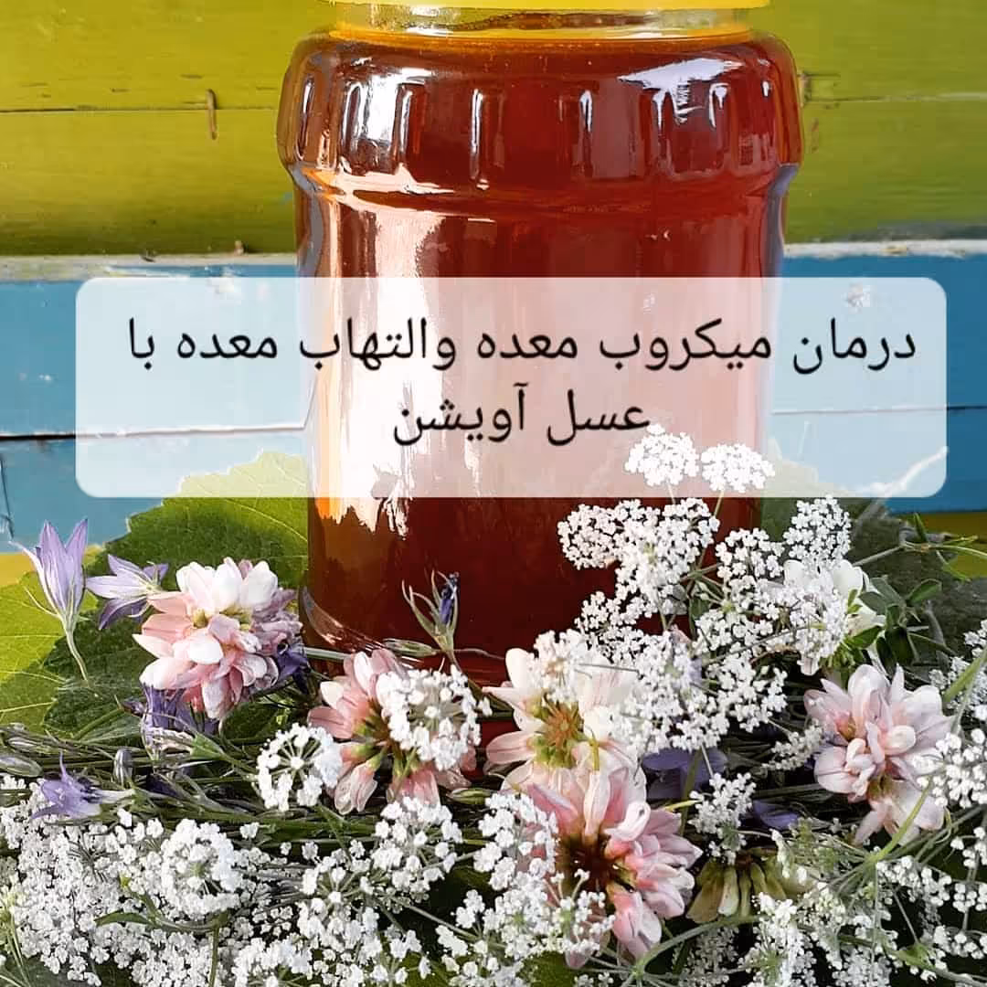 عسل دو کیلویی آویشن بادرنجبویه