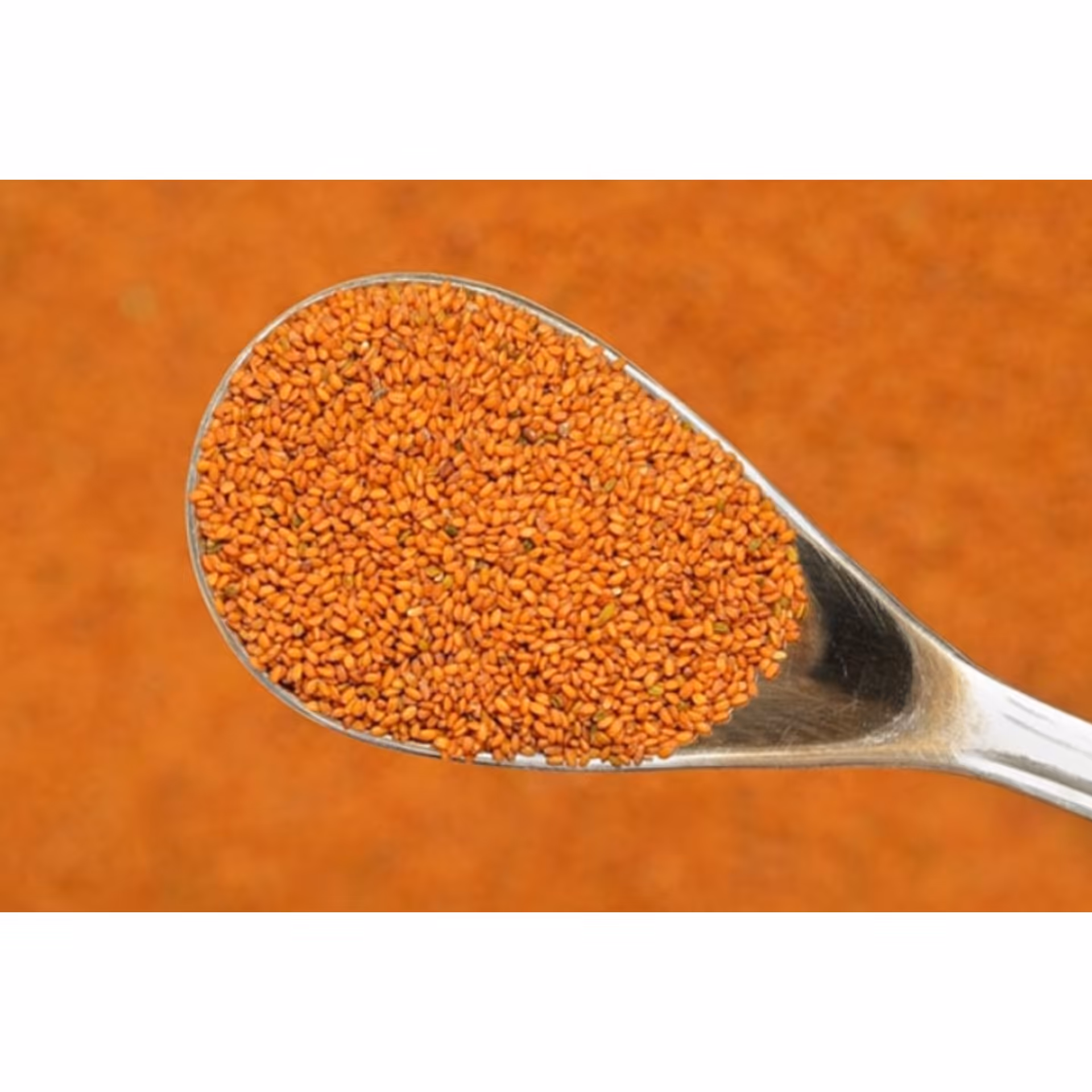 خاکشیر تمیز درجه یک(500 گرم)