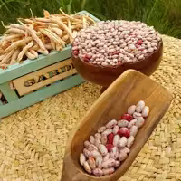 لوبیا چیتی محلی ارگانیک 1000 گرمی