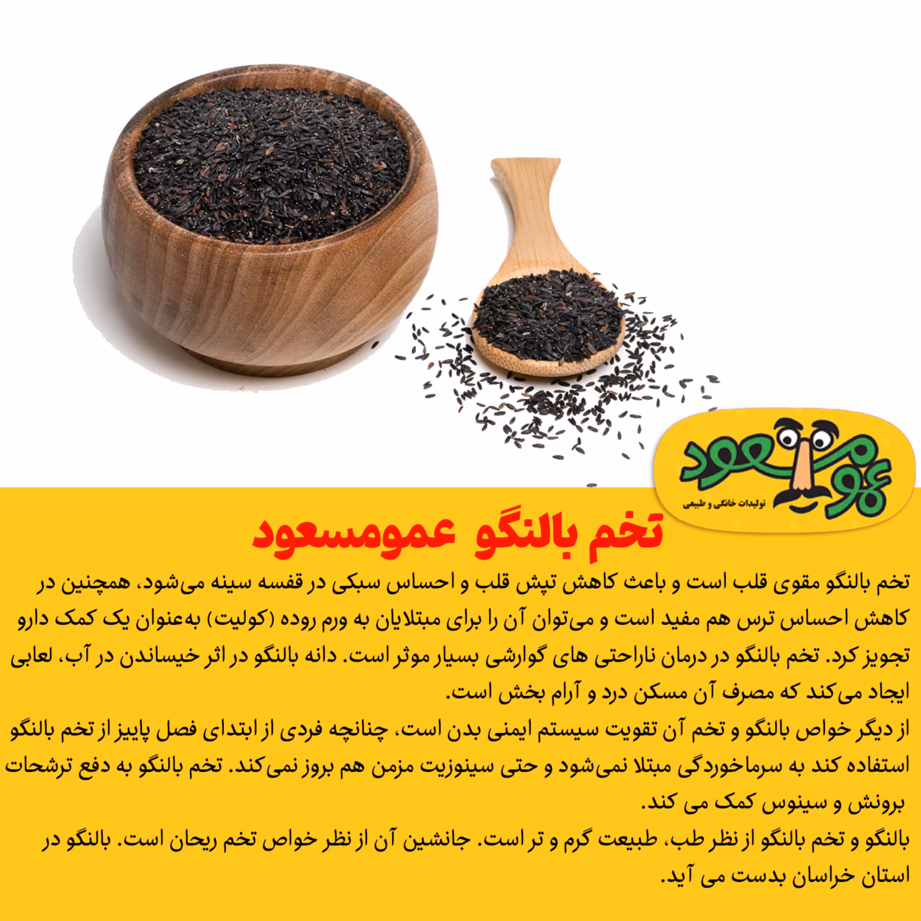 تخم بالنگو درجه یک عمومسعود بسته 100 گرمی