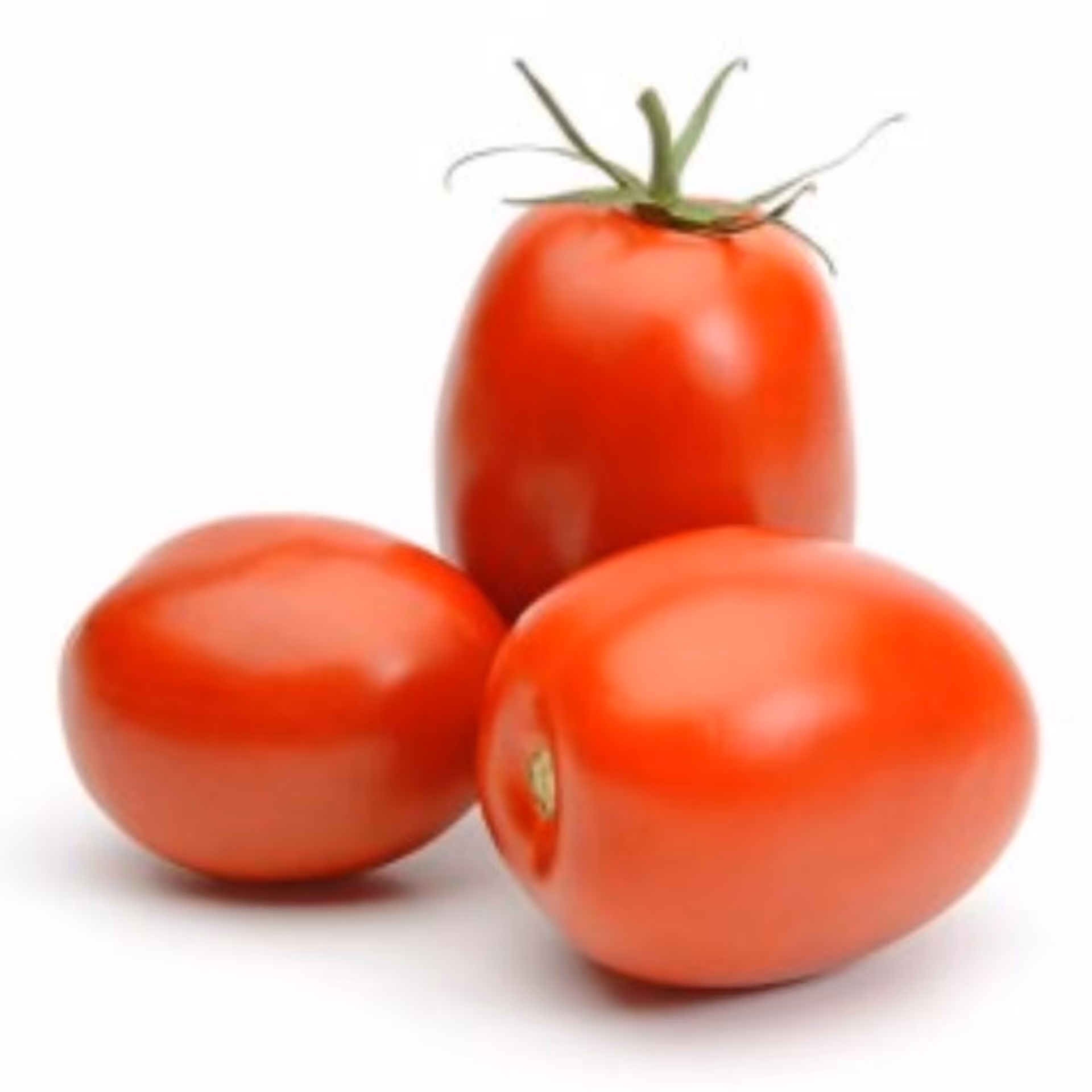 بذر گوجه سوپر کریستال