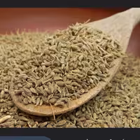 انیسون 500گرم