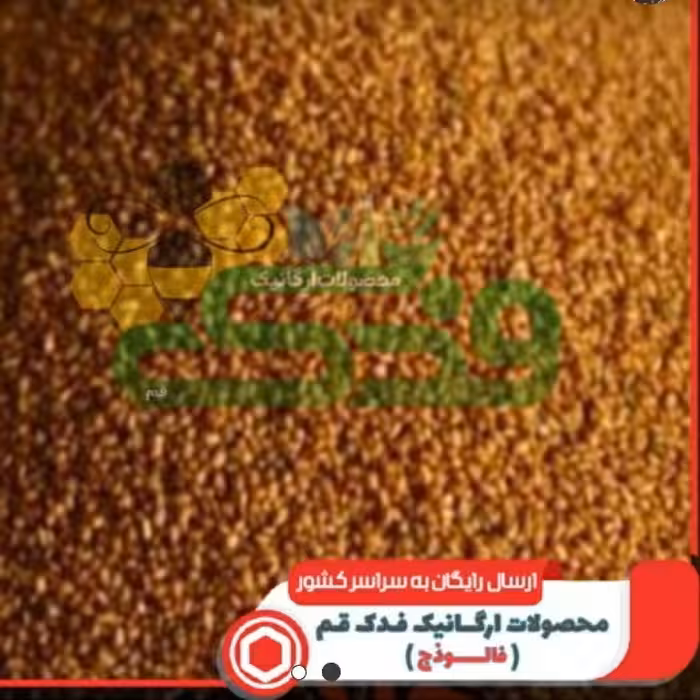 خاکشی (خاکشیر) 5ستاره فدک (600گرم)