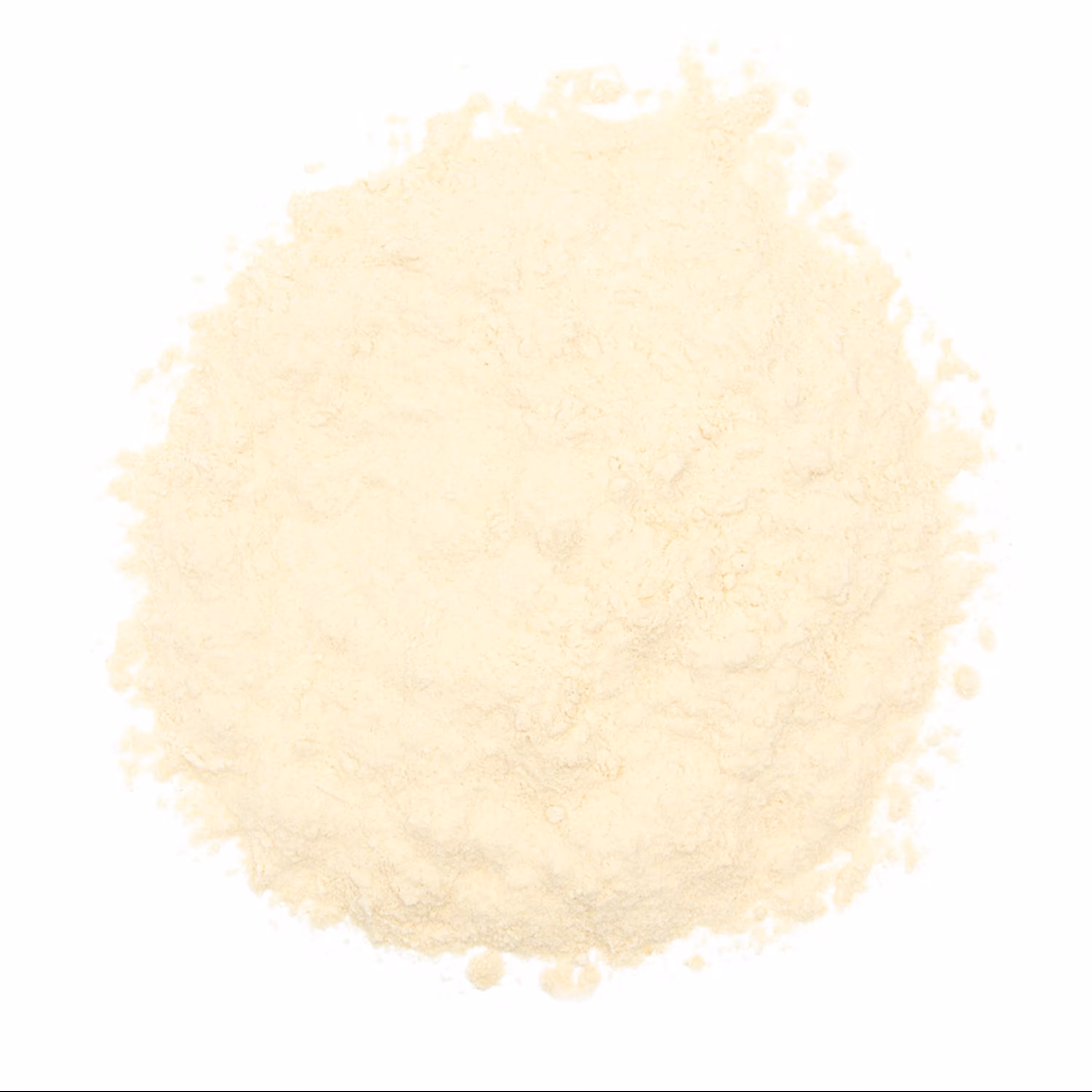 پودر سیر 250 گرمی اعلا و معطر