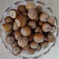 فندق باپوست ایرانی