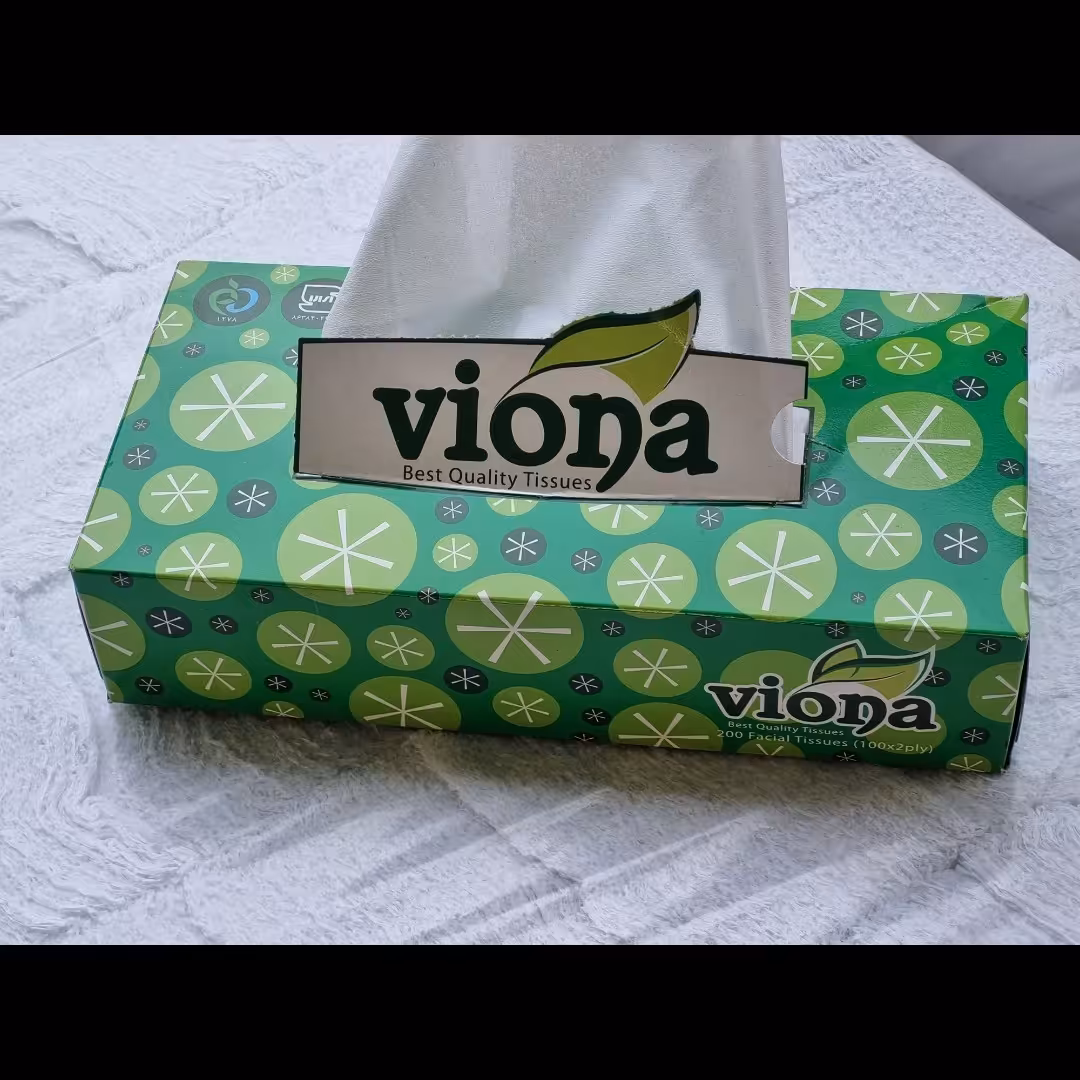 دستمال کاغذی 100 برگ دولا