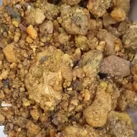 آنغوزه (صمغ انجدان - حلتیت) - 500 گرم