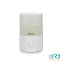 دستگاه بخور سرد بی ول B.Well مدل PRO-10
