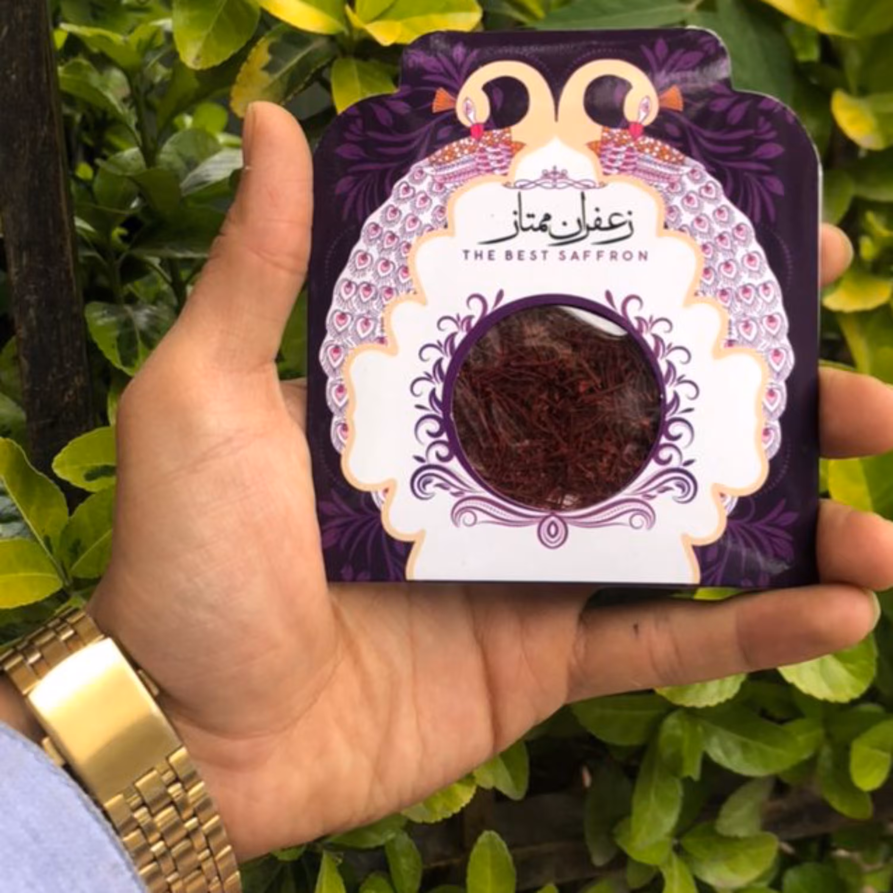 زعفران سرگل قاِینات یک گرمی جشنواره 11 11