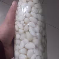 ترشی سیر با سرکه سفید (نفس)