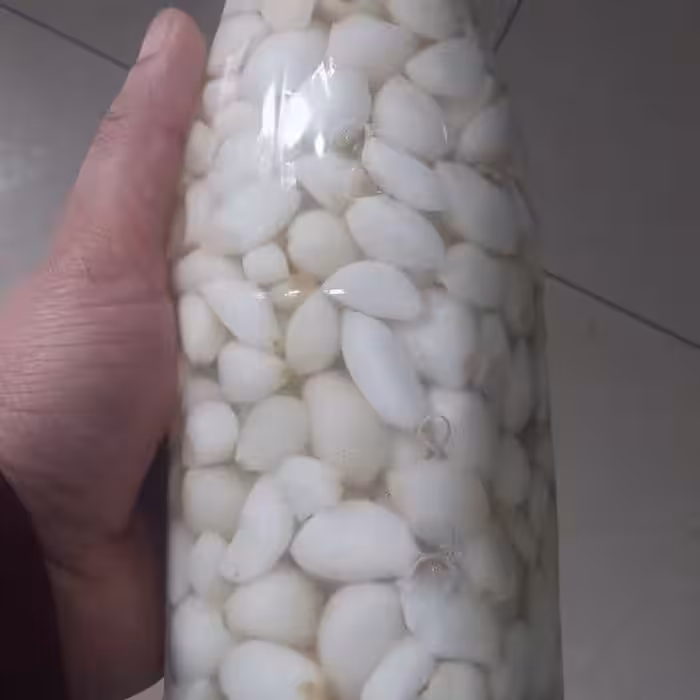 ترشی سیر با سرکه سفید (نفس)