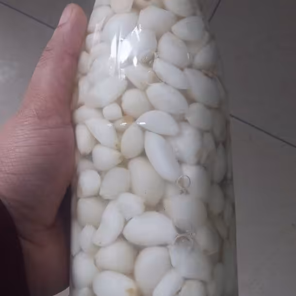 ترشی سیر با سرکه سفید (نفس)