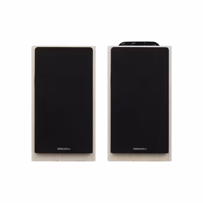 پخش کننده خانگی کنکورد پلاس مدل SA-F200