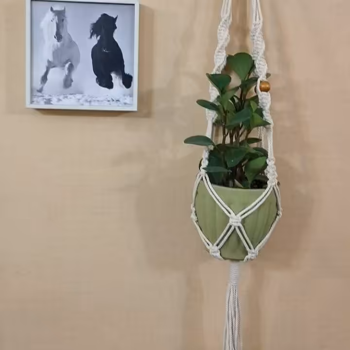 اویز گلدان شیک و زیبا با ارتفاع 100سانتی متر تا 100 سانتی متر