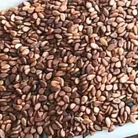 کنجد قهوه ای اعلاء یک کیلو 