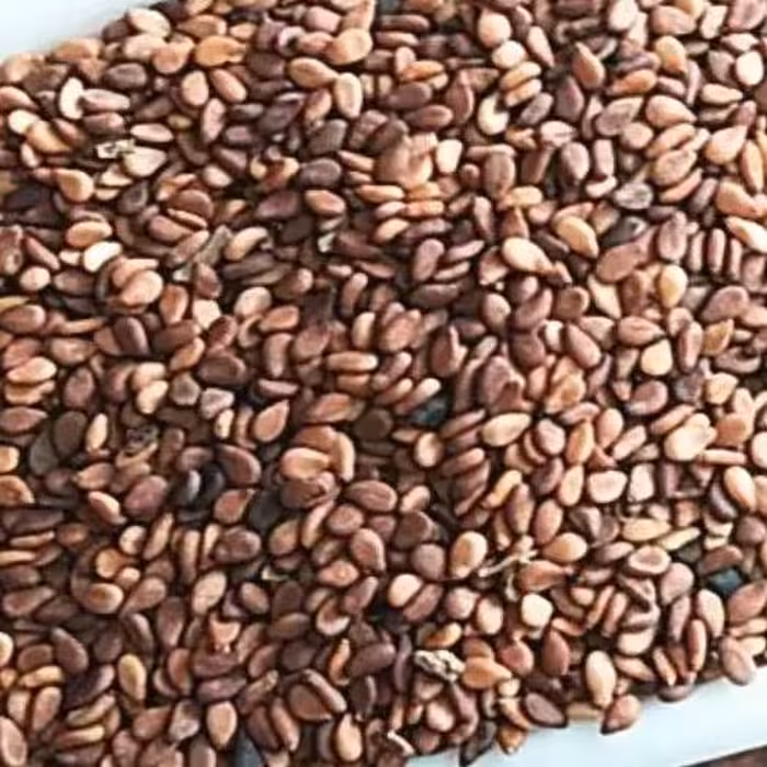 کنجد قهوه ای اعلاء یک کیلو 