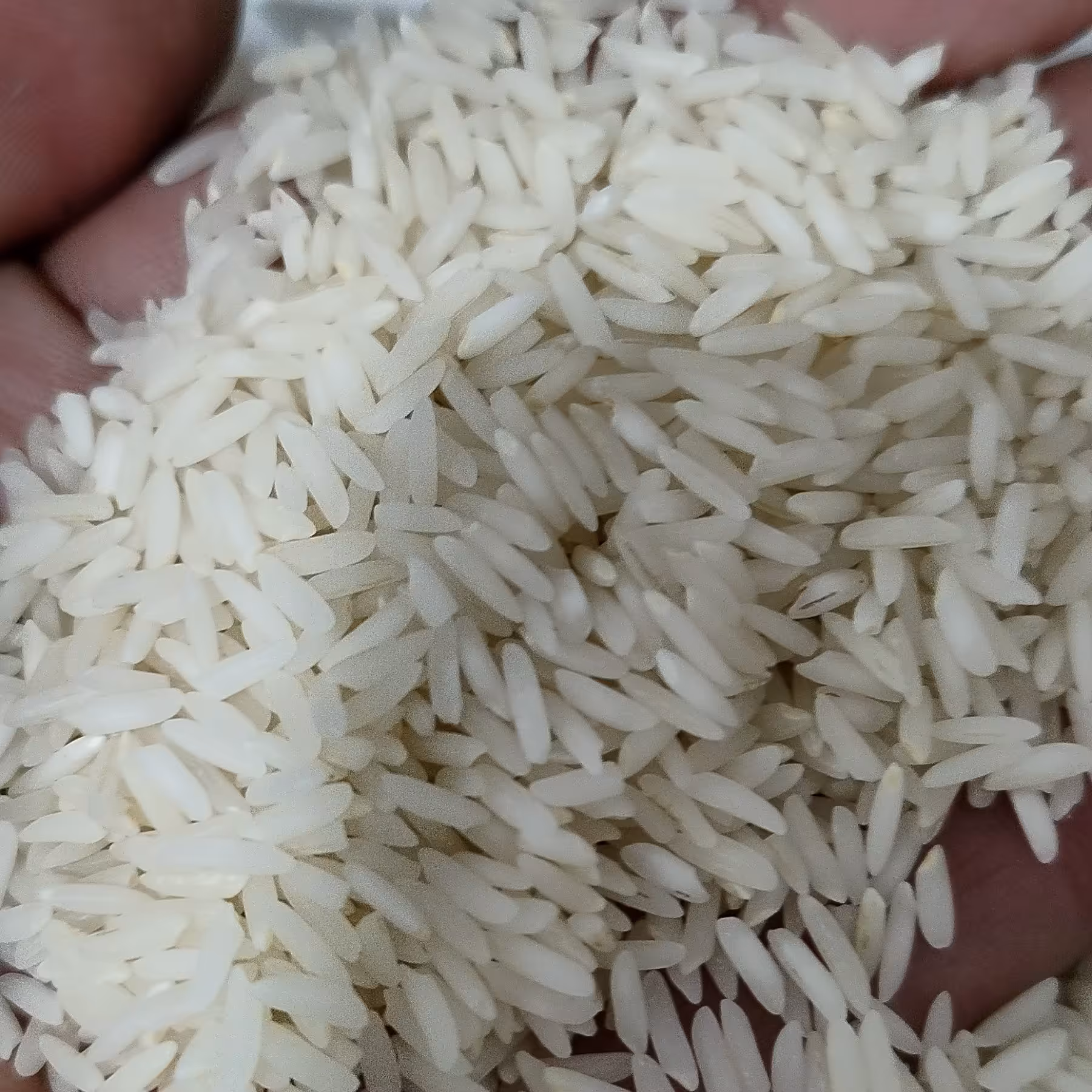 برنج هاشمی مینودشت اعلا (10کیلویی)سیدعلی