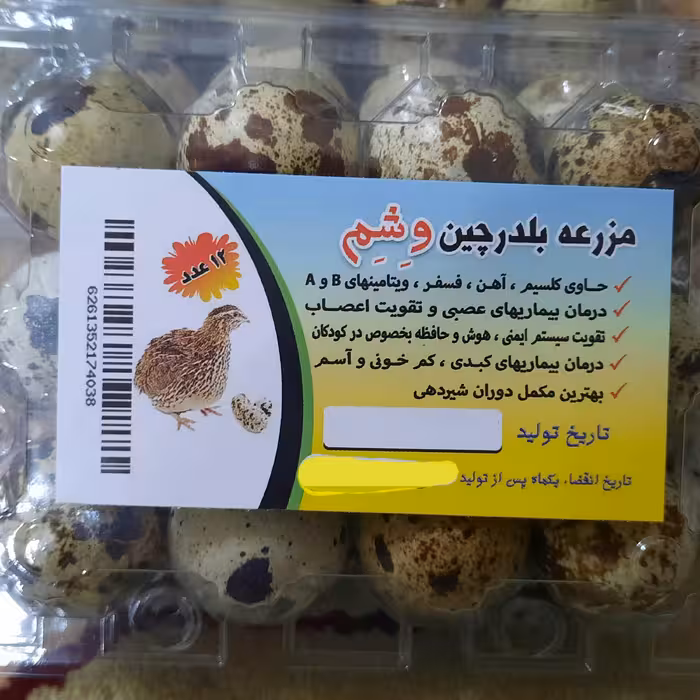 مزرعه بلدرچین وشم با کارتن 60 عددی بسته 12 تایی (وشم به گویش مازندرانی همان بلدرچین گفته میشه) 