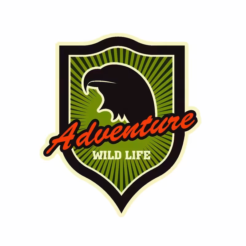 برچسب بدنه خودرو طرح آفرود کد OF0027