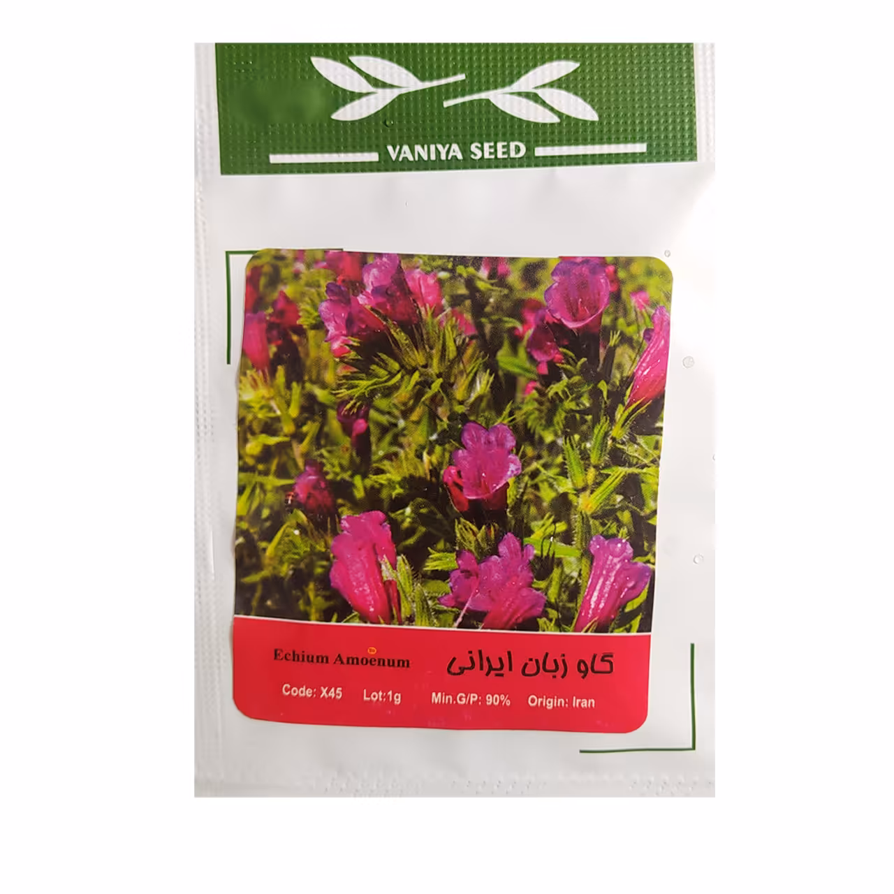 بذر گل گاوزبان ایرانی