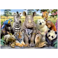 پازل 1000 تکه ادوکا مدل It Is A Class Photo