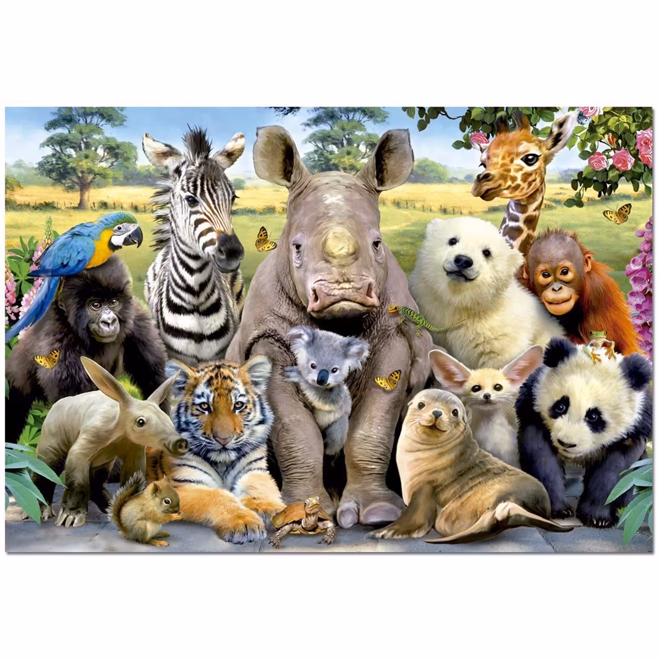 پازل 1000 تکه ادوکا مدل It Is A Class Photo