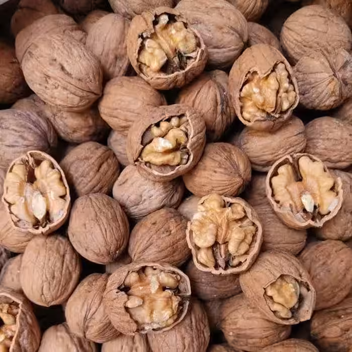 گردو پوست کاغذی اعلا 1 کیلویی