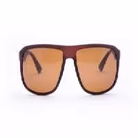 عینک پلاریزه PORSCHE DESIGN مدل p1520