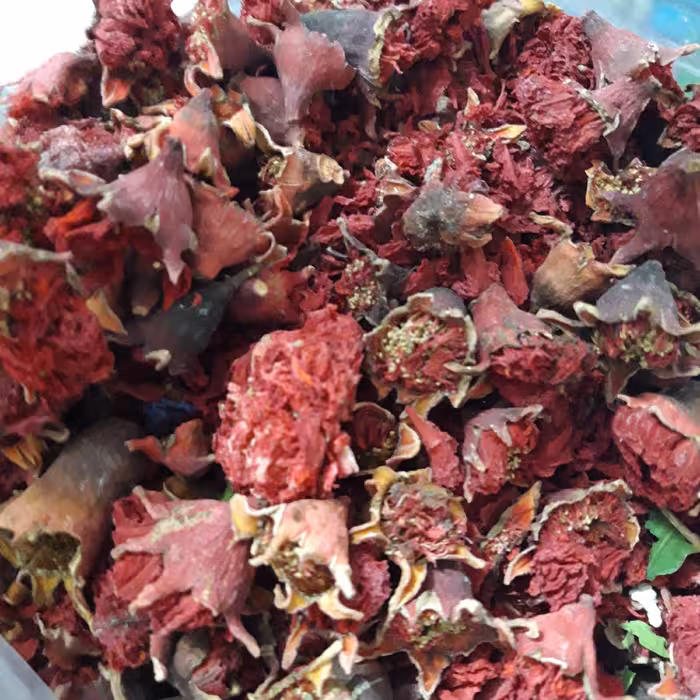 گلنار فارسی