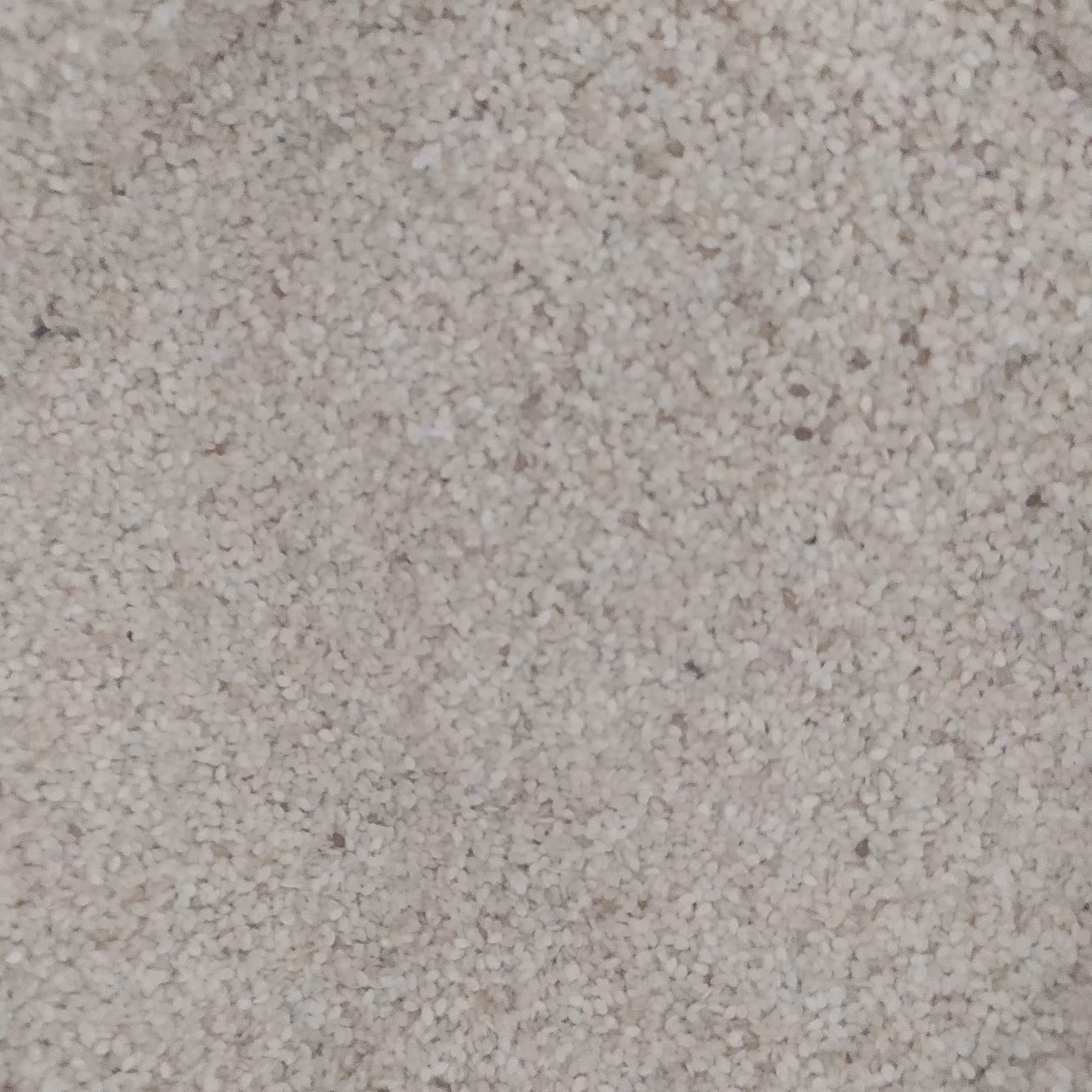 کنجد خام ایرانی 250گرمی