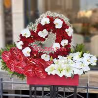 باکس گل مانلی