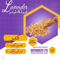 کندر  شیرین جویدنی (40گرمی) فروشگاه لوندر