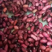 لوبیا قرمز یک کیلویی تازه و ارگانیک 