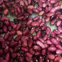 لوبیا قرمز یک کیلویی تازه و ارگانیک 