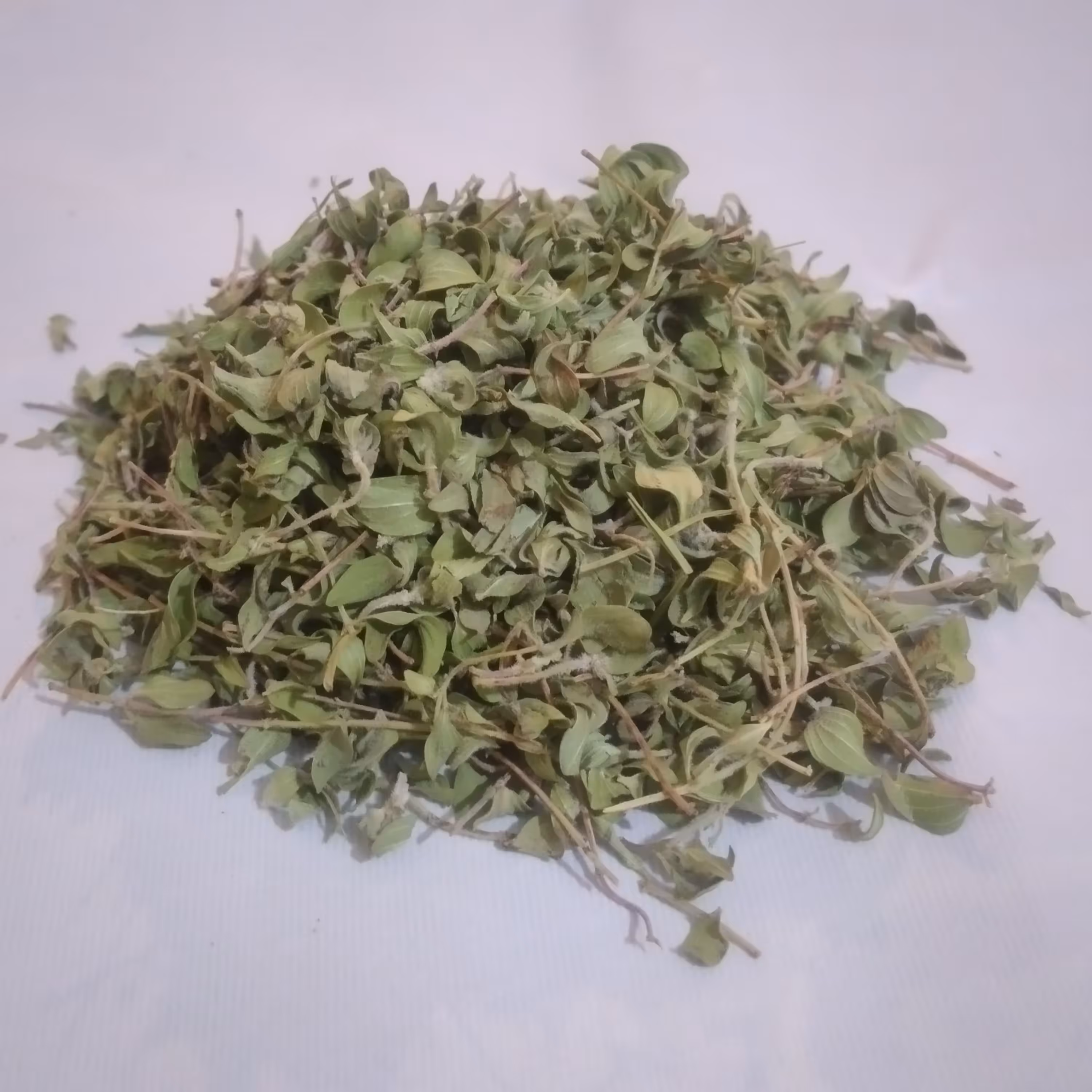 آویشن خوش عطر  اردبیل