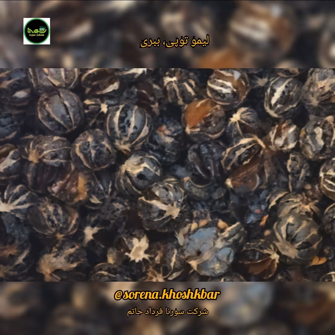 لیمو عمانی (توپی-ببری)جهرم امساله درجه یک(لیمو کامل بدون پوست) در بسته بندی 50 گرمی