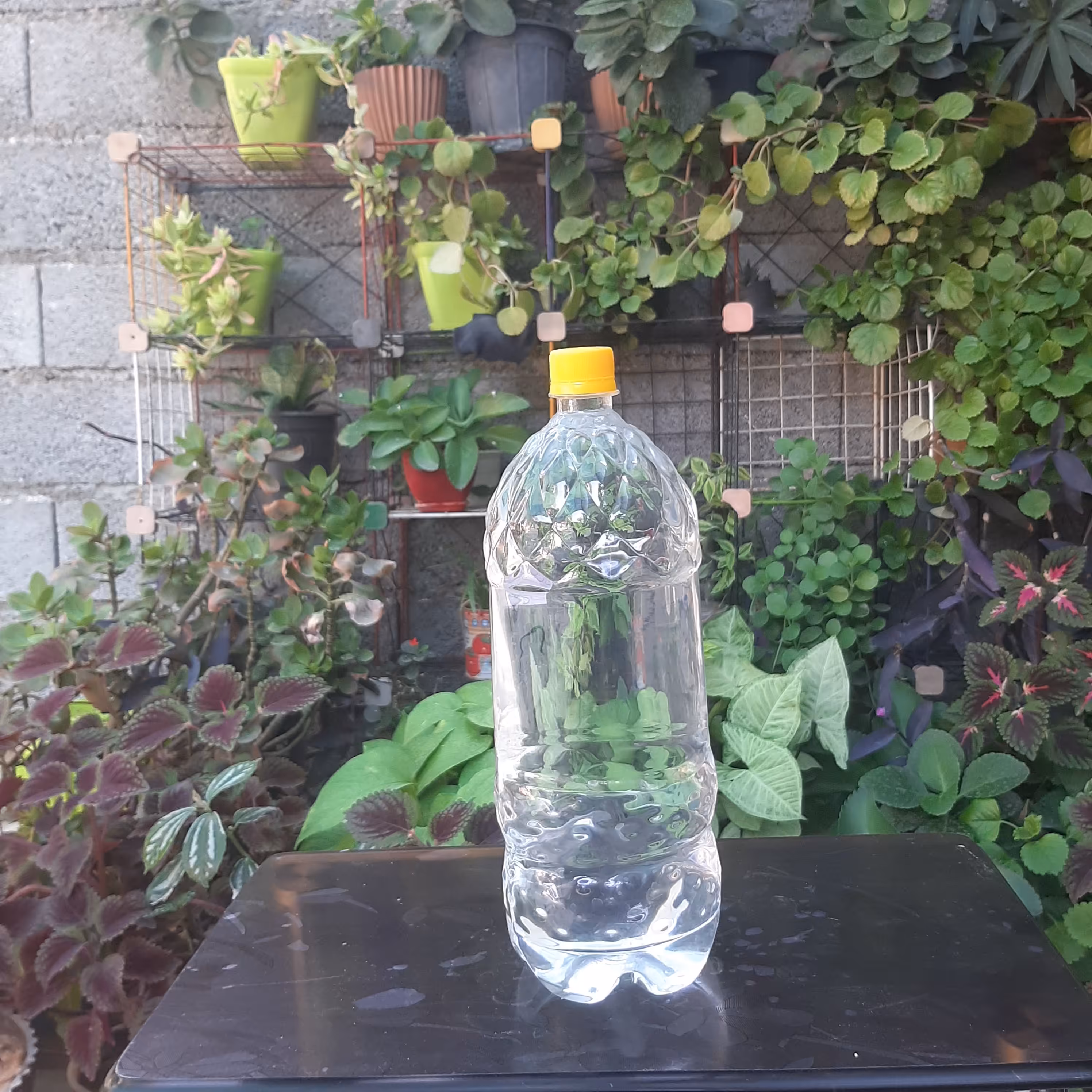 عرق شیرین بیان اعلا دو لیتری