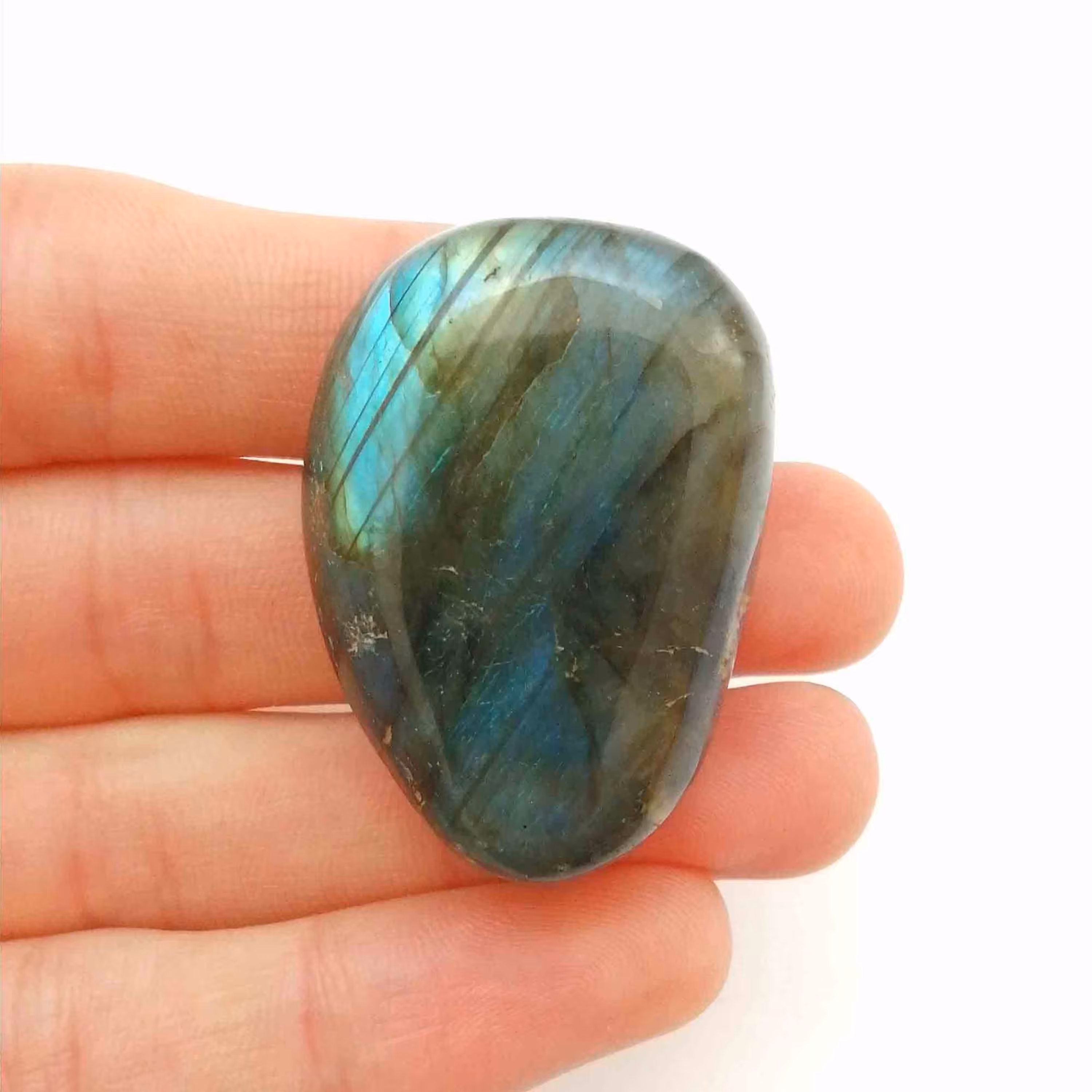 راف لابرادوریت کد 2