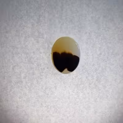 سنگ شجر کد 40015