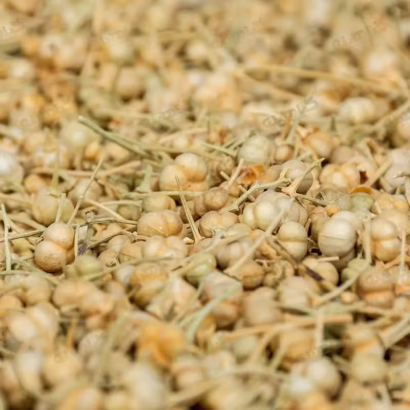 اسپند دانه بسته 200 گرمی