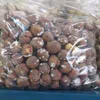 فندق تازه آجیلی نمکی2 کیلویی درجه یک ارسال رایگان1403