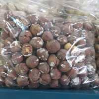 فندق تازه آجیلی نمکی2 کیلویی درجه یک ارسال رایگان1403