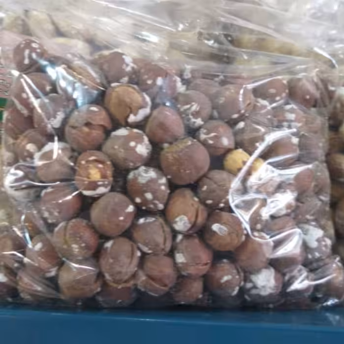 فندق تازه آجیلی نمکی2 کیلویی درجه یک ارسال رایگان1403